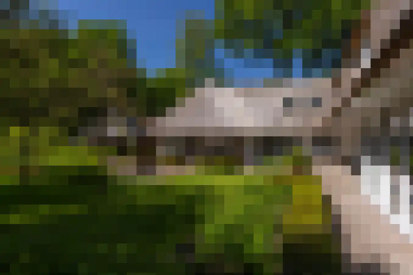 Middenweg 18 Epse thumbnail 79