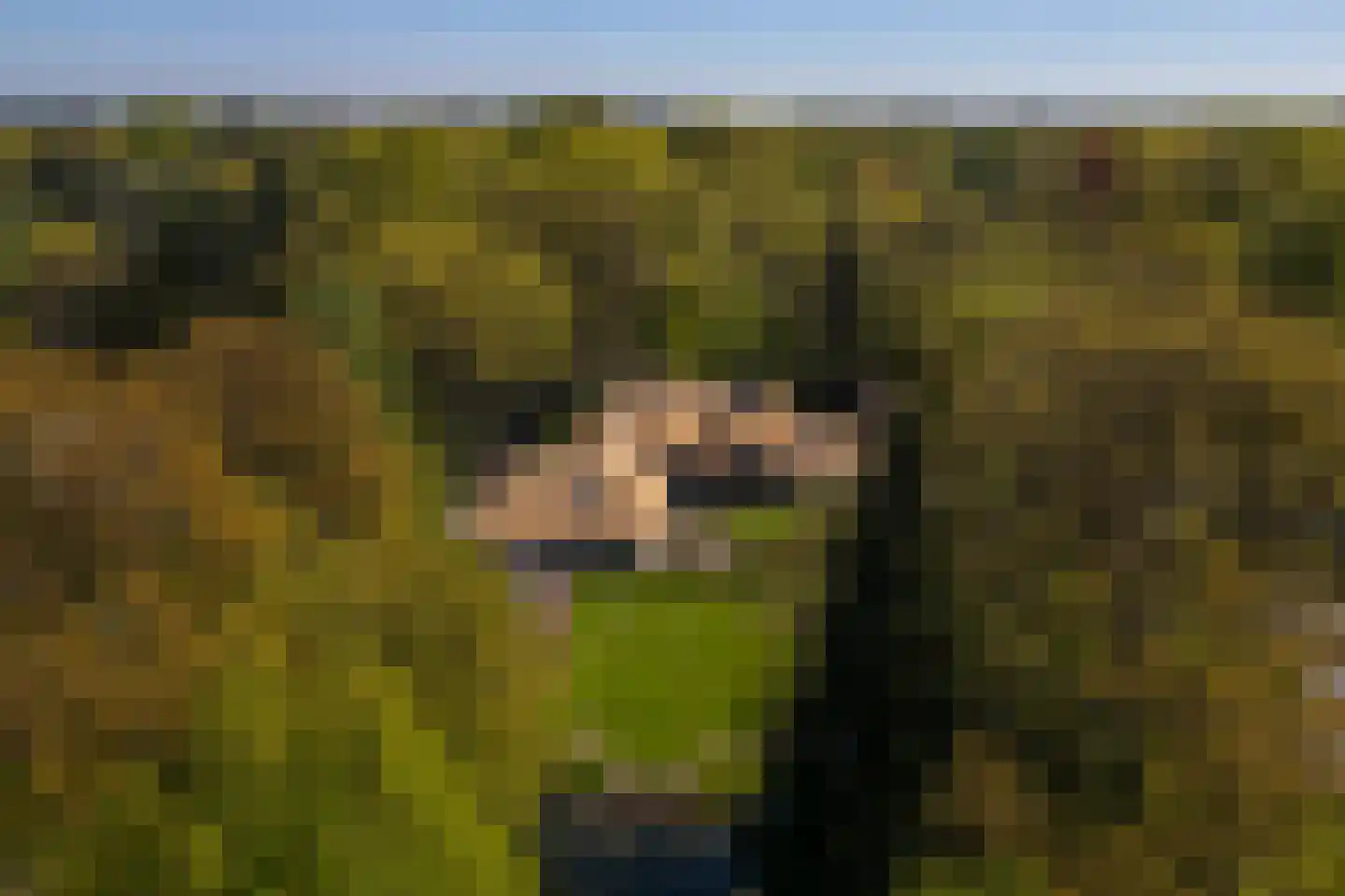 Middenweg 18 Epse thumbnail 81