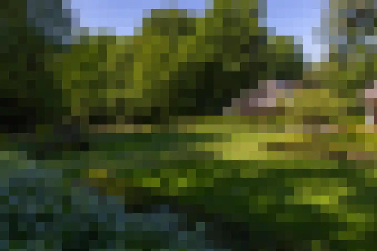 Middenweg 18 Epse thumbnail 81
