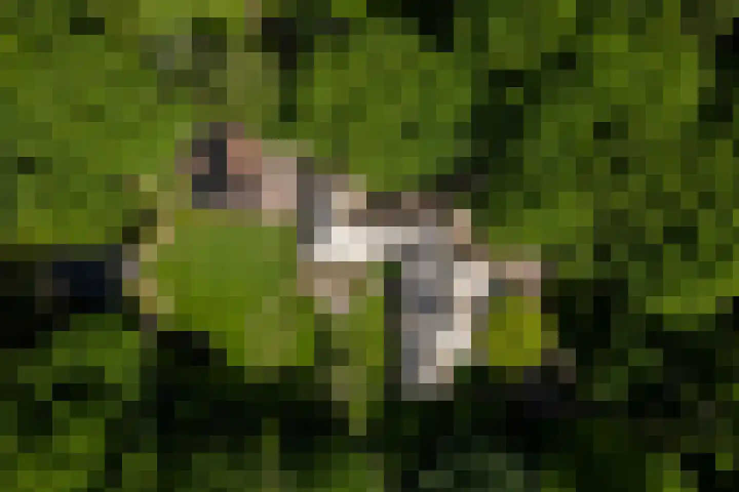 Middenweg 18 Epse thumbnail 85