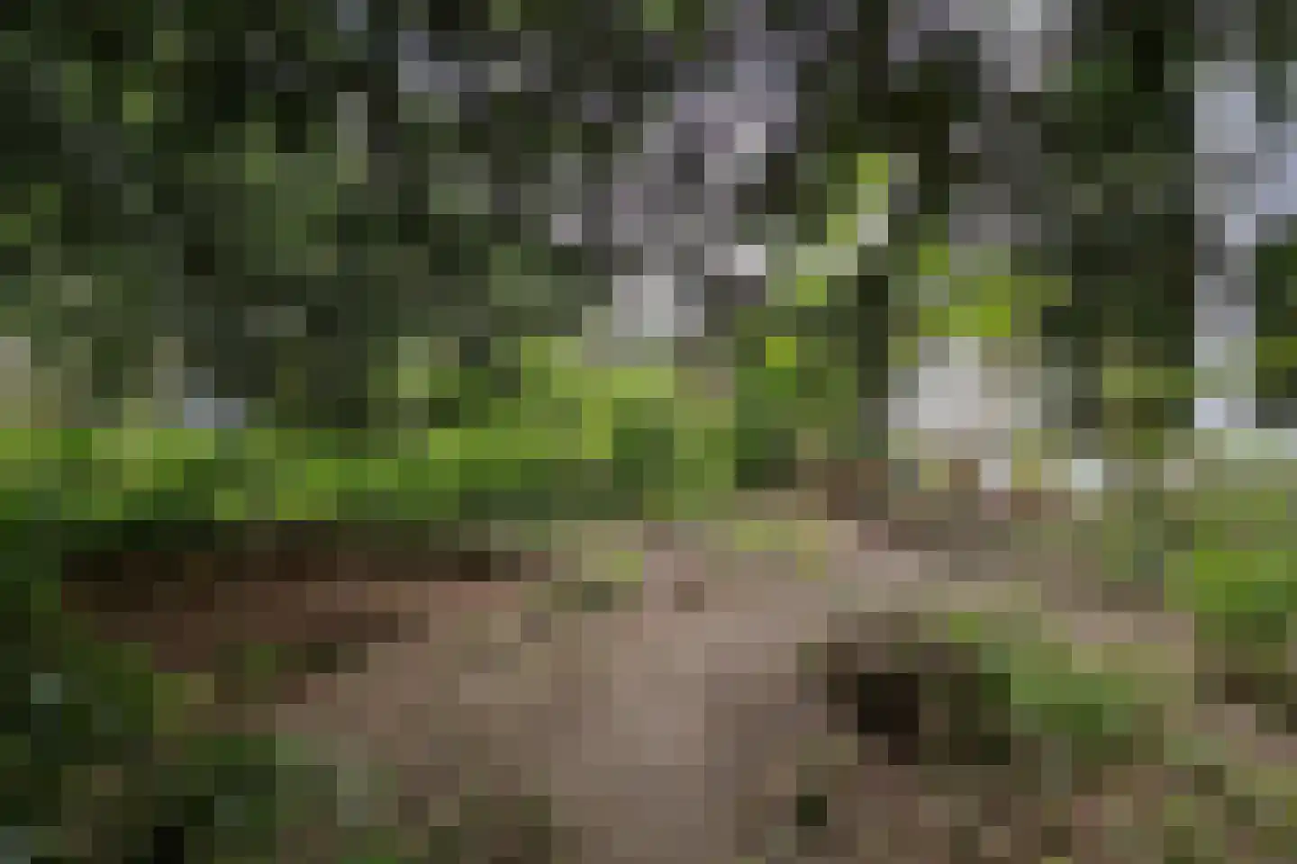 Middenweg 18 Hilversum thumbnail 38
