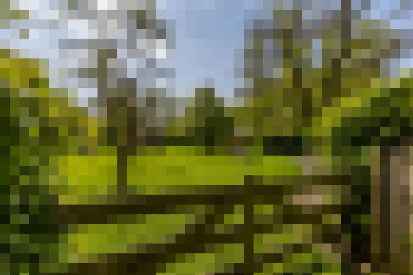 Middenweg 189 Middenbeemster thumbnail 5