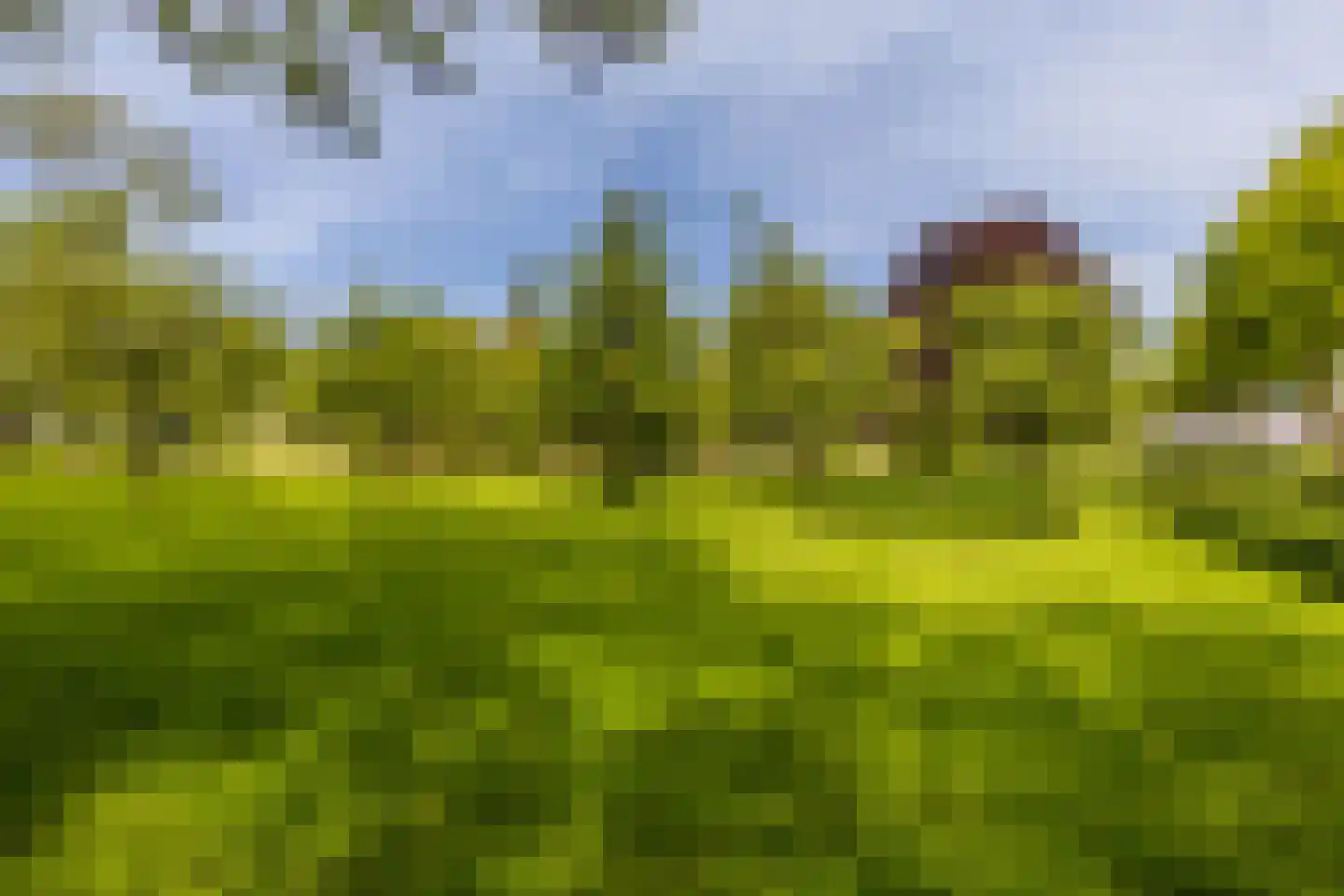 Middenweg 189 Middenbeemster thumbnail 76
