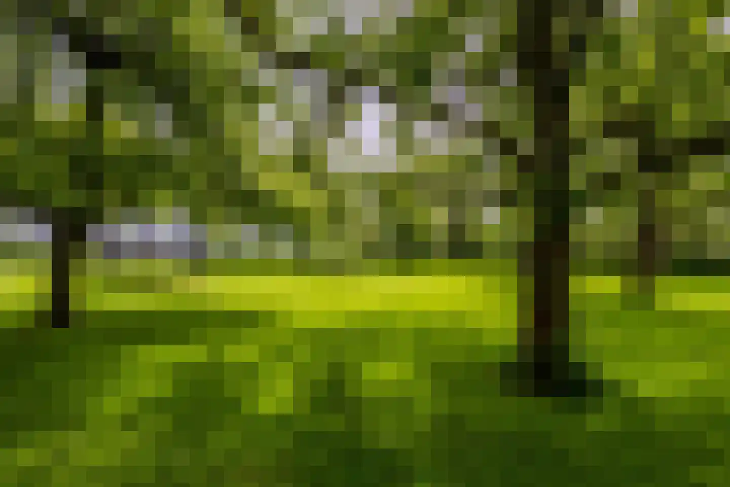 Middenweg 189 Middenbeemster thumbnail 78