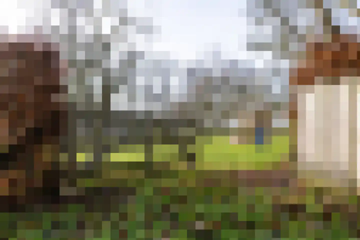 Middenweg 189 Middenbeemster thumbnail 78