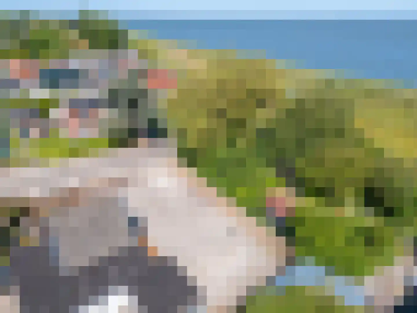 Middenweg 2 A Andijk thumbnail 5