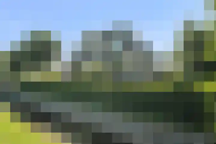 Middenweg 2 a Anna Paulowna thumbnail 5