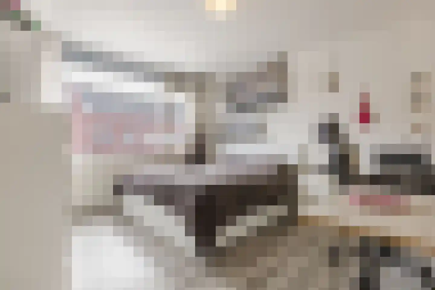 Middenweg 2 Rijen thumbnail 24