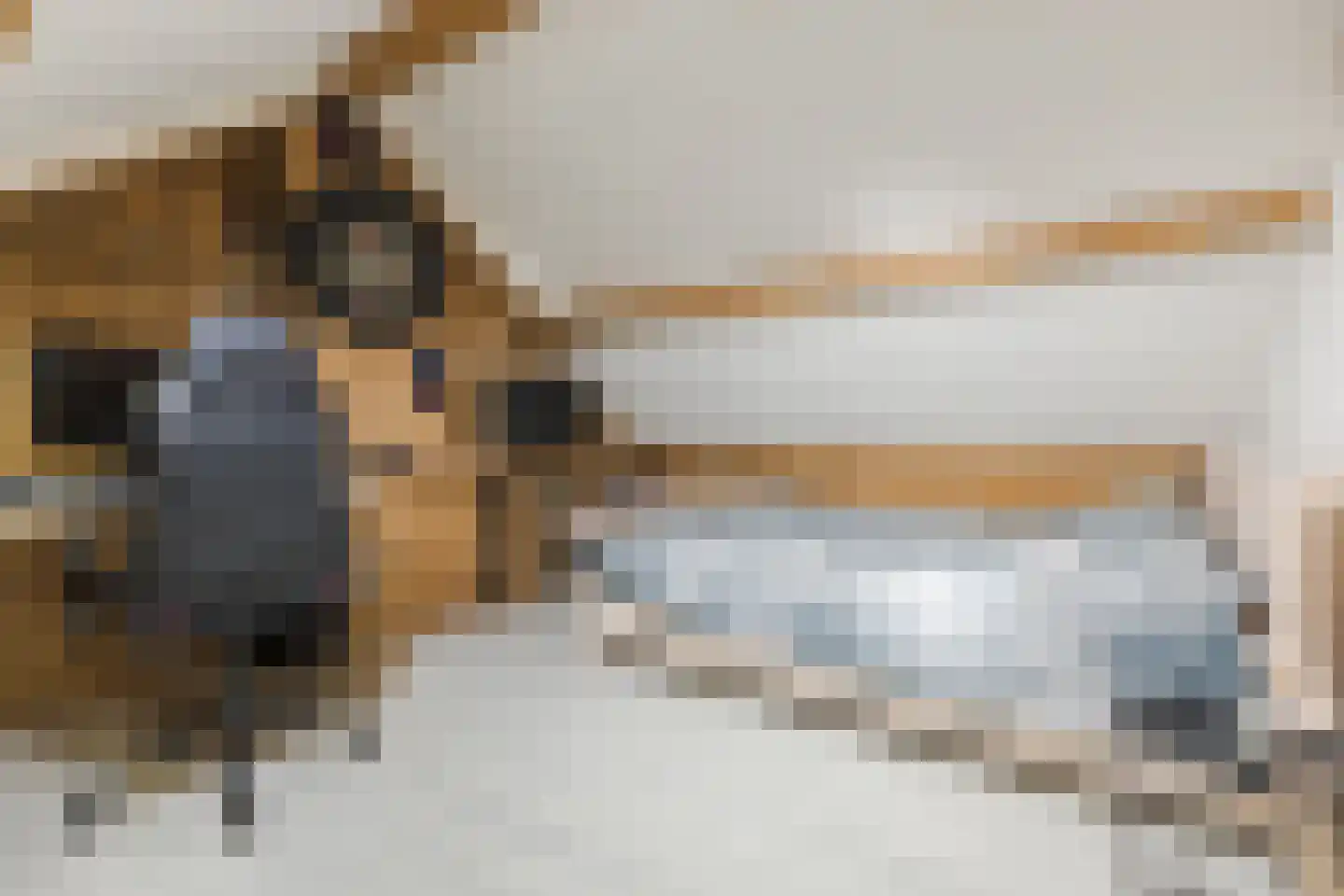 Middenweg 2 Rijen thumbnail 37