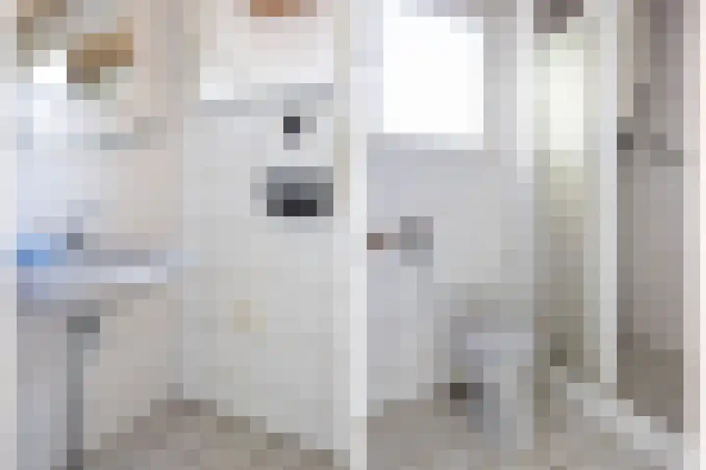 Middenweg 20 Muntendam thumbnail 31