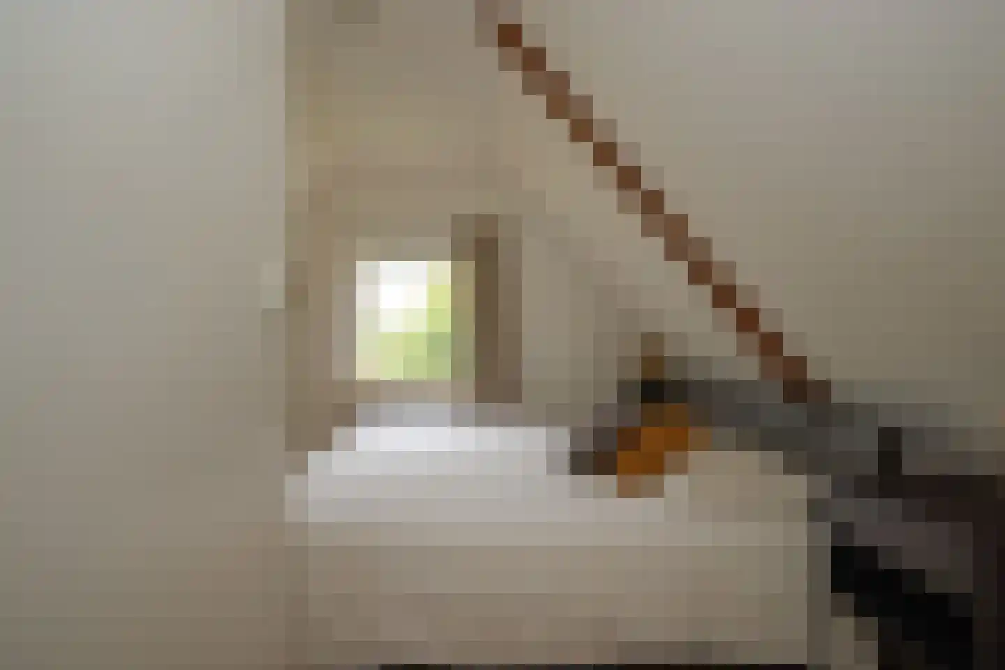 Middenweg 20 Noordbeemster thumbnail 24