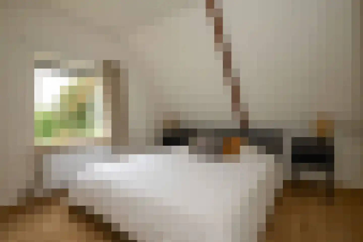 Middenweg 20 Noordbeemster thumbnail 25