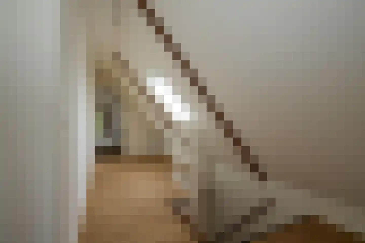 Middenweg 20 Noordbeemster thumbnail 34