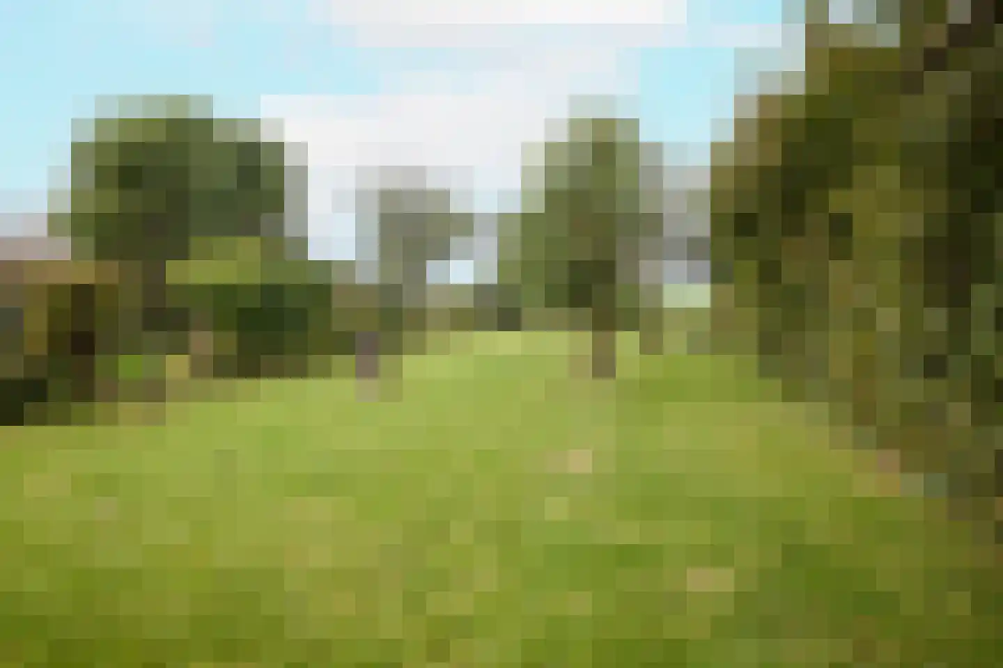 Middenweg 20 Noordbeemster thumbnail 44