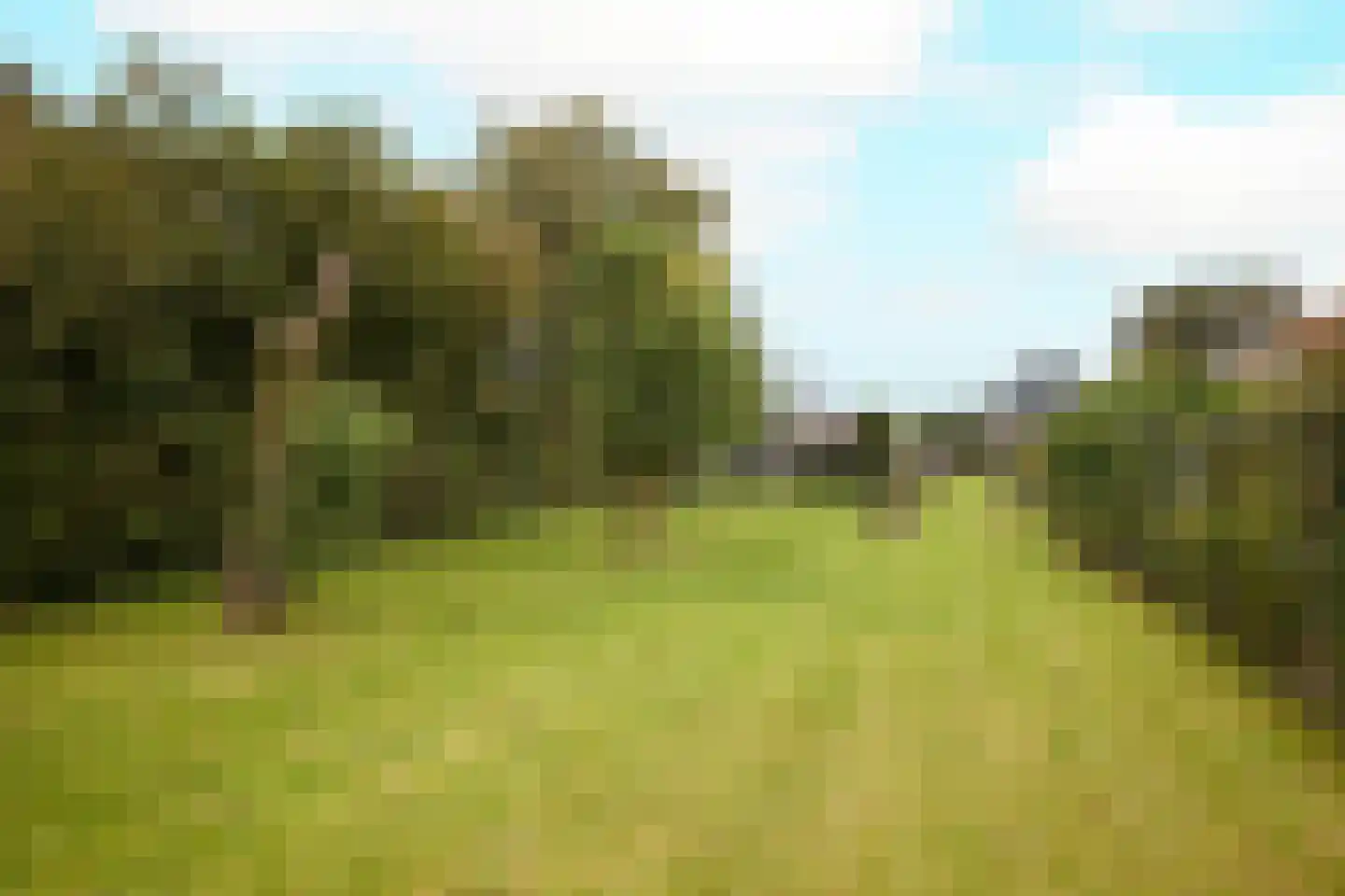 Middenweg 20 Noordbeemster thumbnail 45