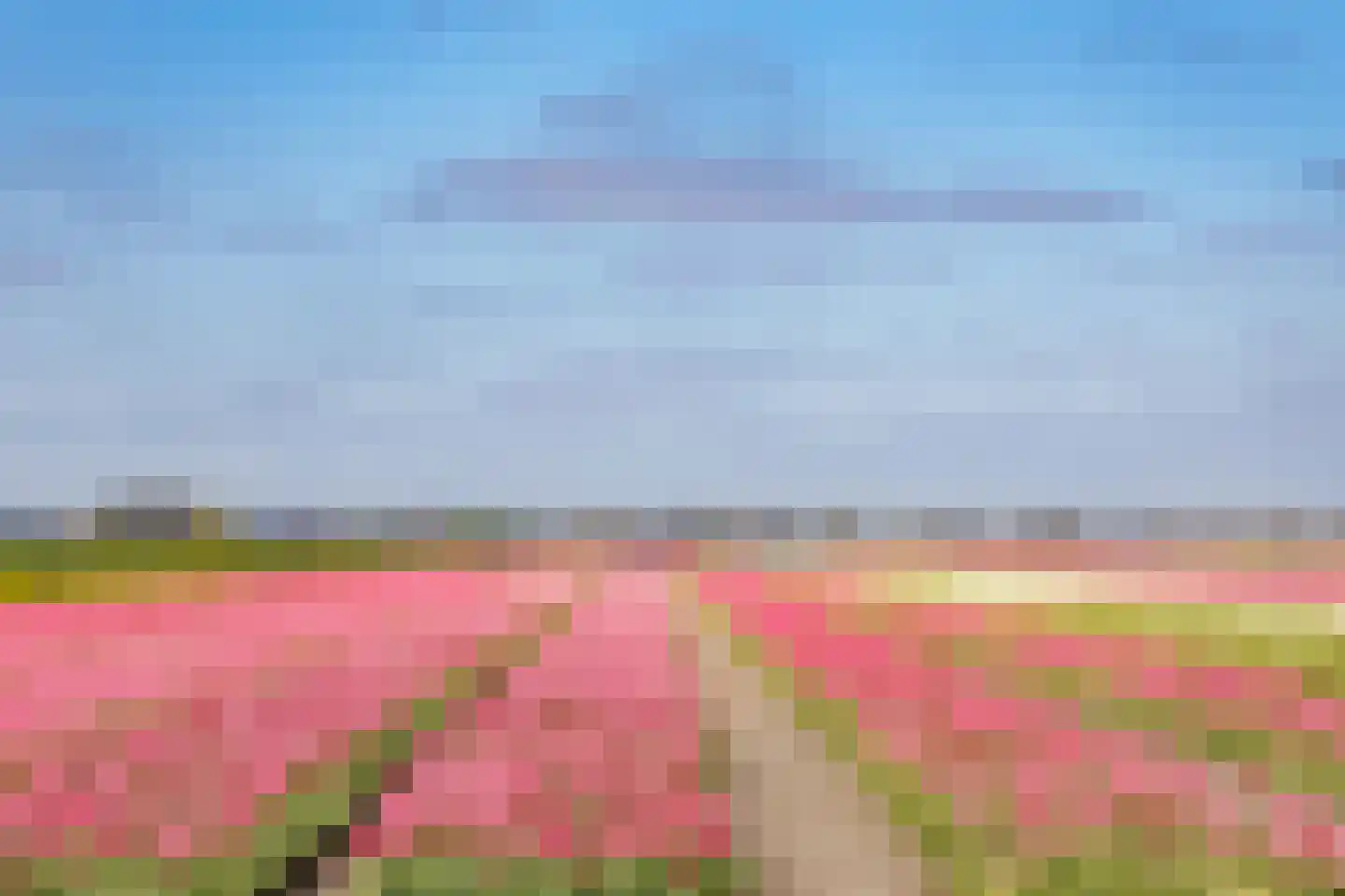 Middenweg 22 Noordbeemster thumbnail 44