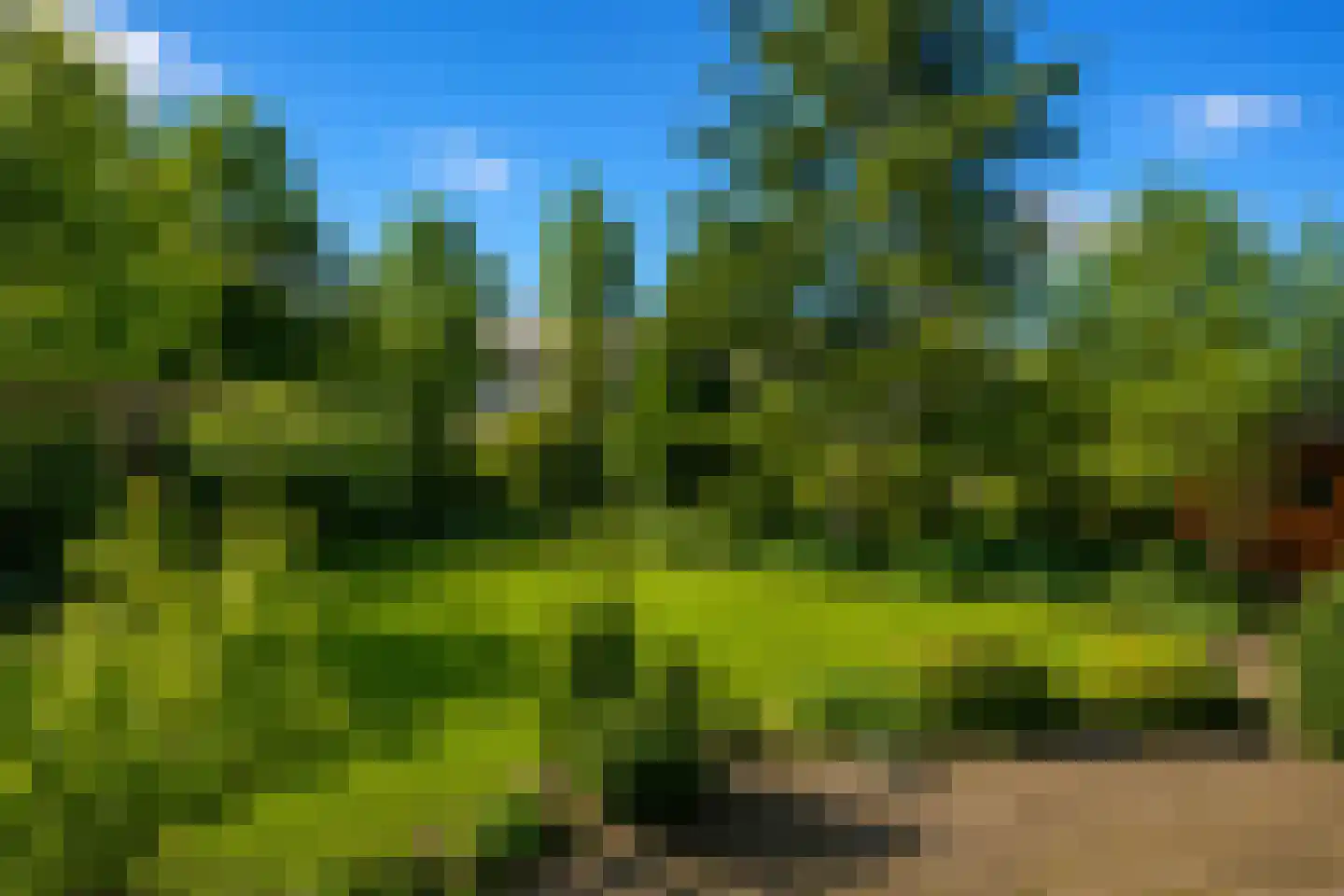 Middenweg 23 d Anna Paulowna thumbnail 28