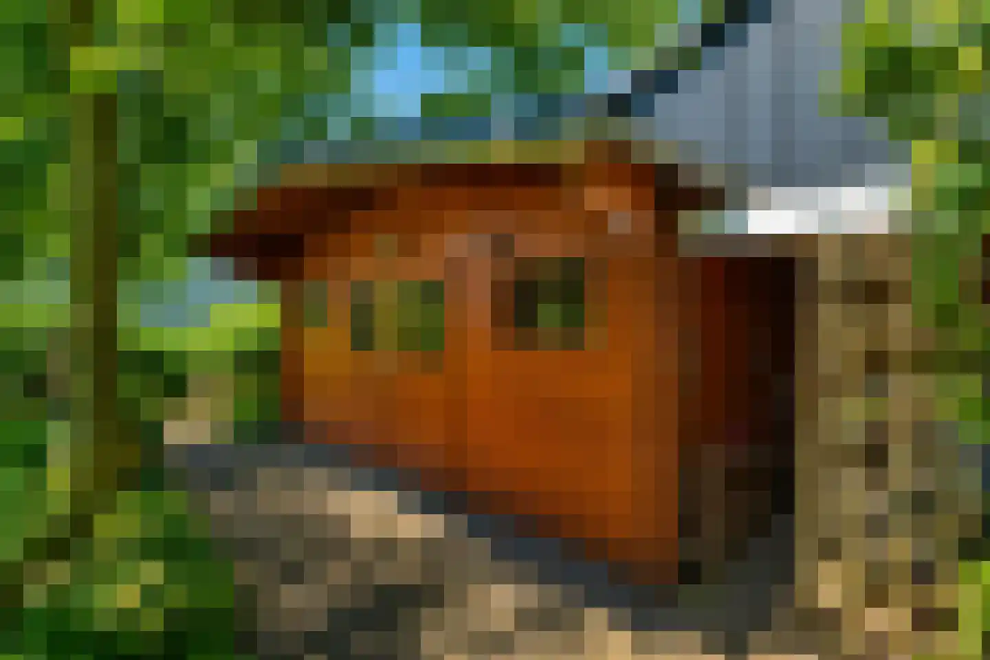 Middenweg 23 d Anna Paulowna thumbnail 31