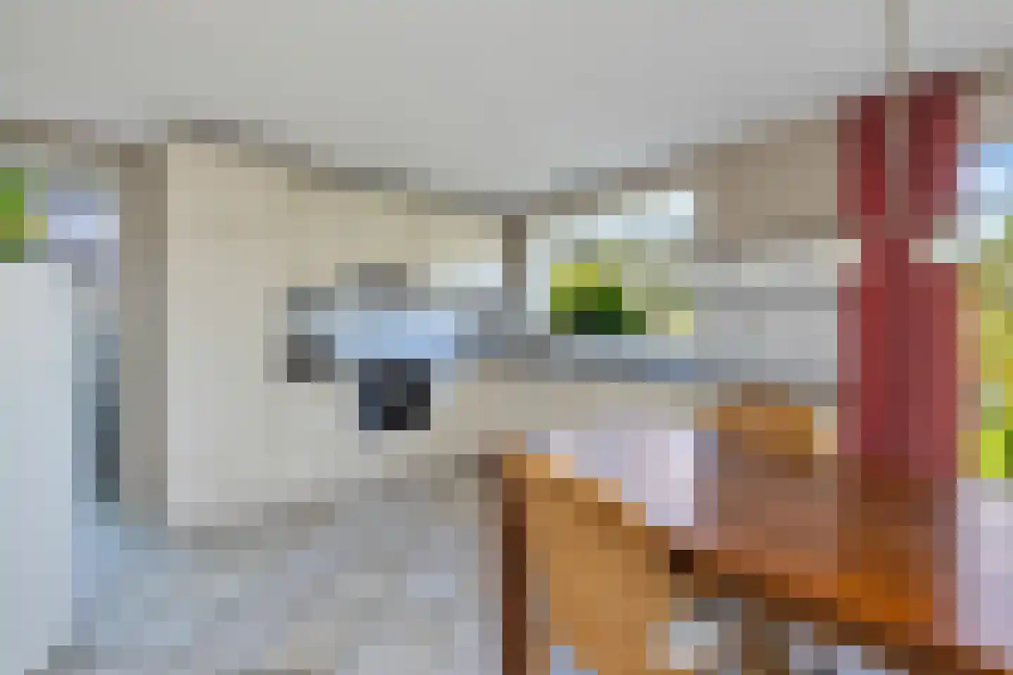 Middenweg 23 d Anna Paulowna thumbnail 4