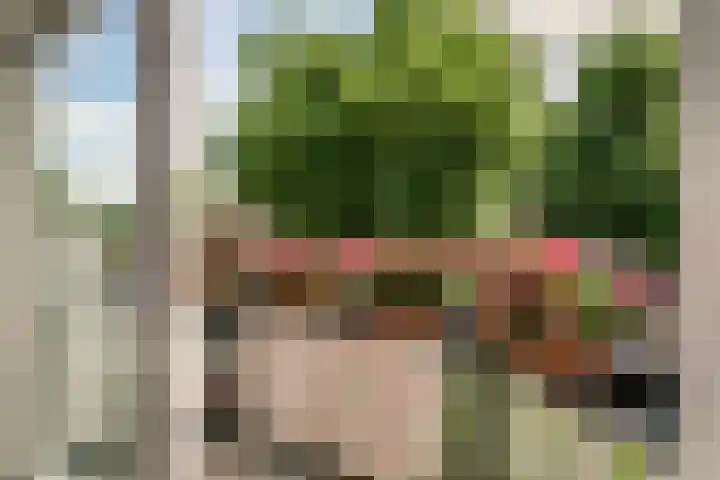 Middenweg 23 Haarlem thumbnail 22
