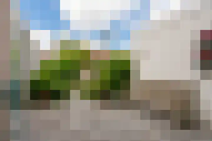 Middenweg 23 Haarlem thumbnail 29
