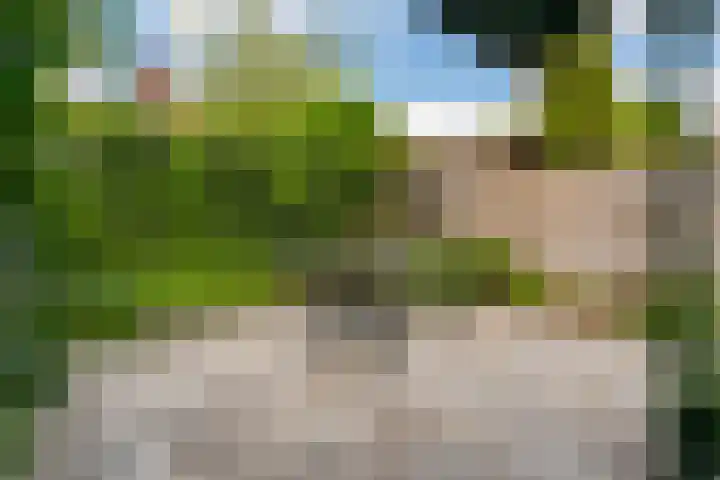Middenweg 23 Haarlem thumbnail 32