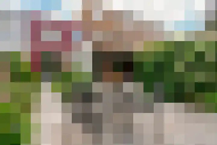 Middenweg 23 Haarlem thumbnail 33