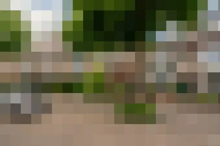 Middenweg 23 Haarlem thumbnail 36