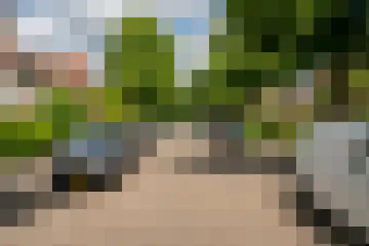 Middenweg 23 Haarlem thumbnail 37