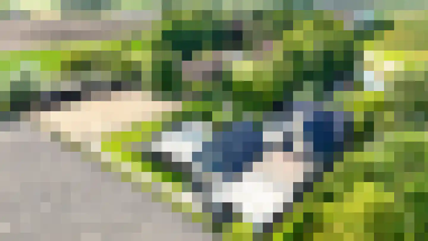 Middenweg 24 Breezand thumbnail 37