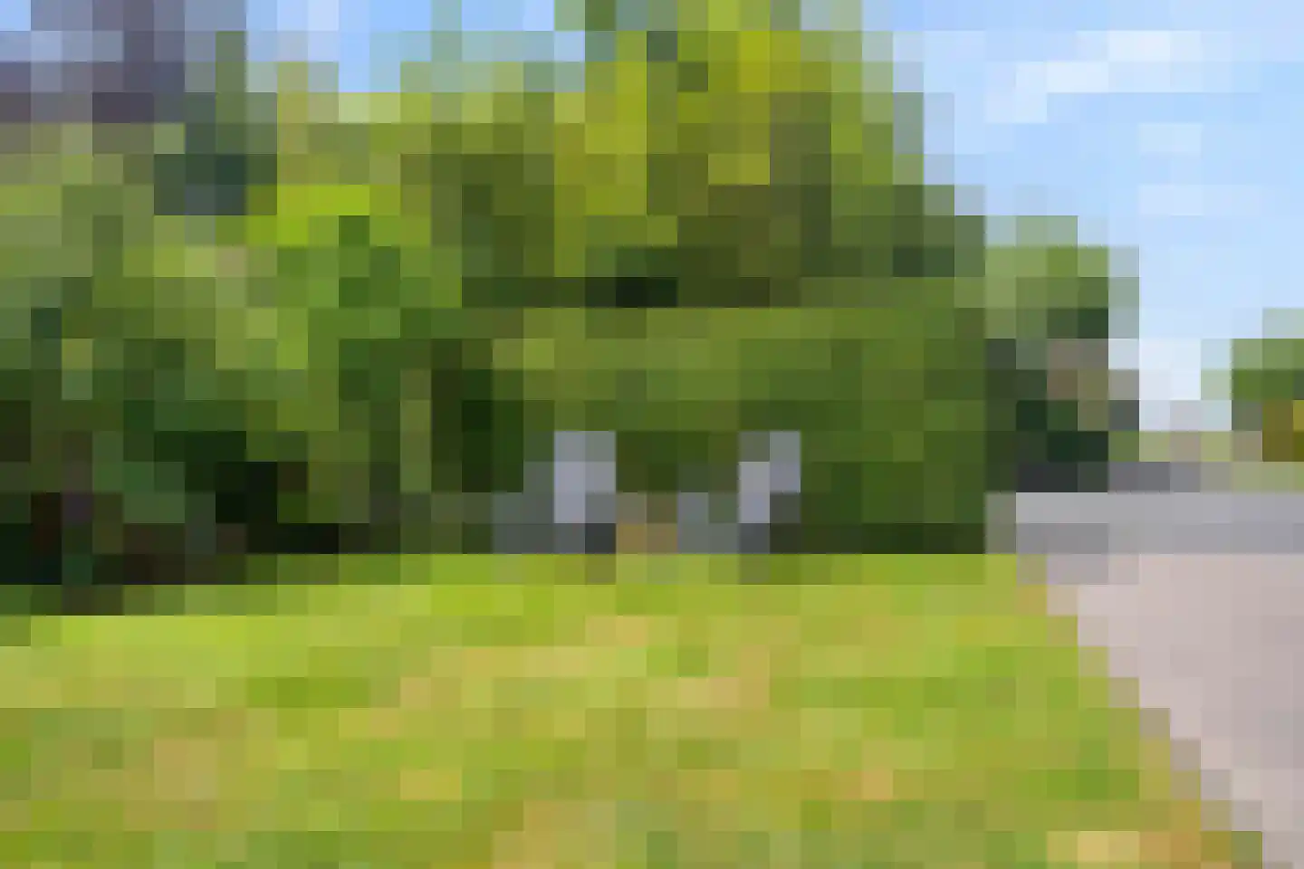 Middenweg 24 Breezand thumbnail 62