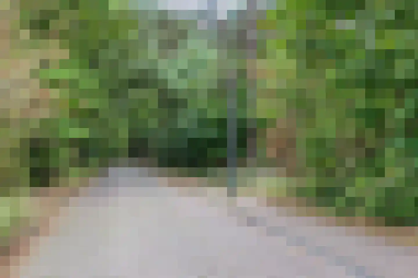 Middenweg 24 Rijen thumbnail 47