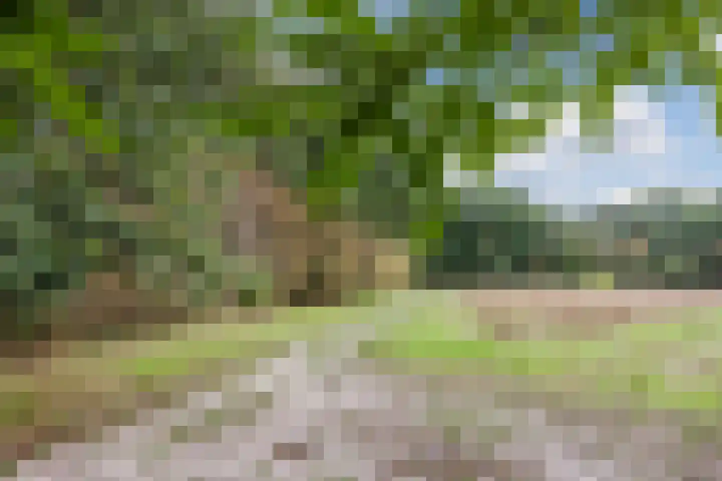 Middenweg 24 Rijen thumbnail 49