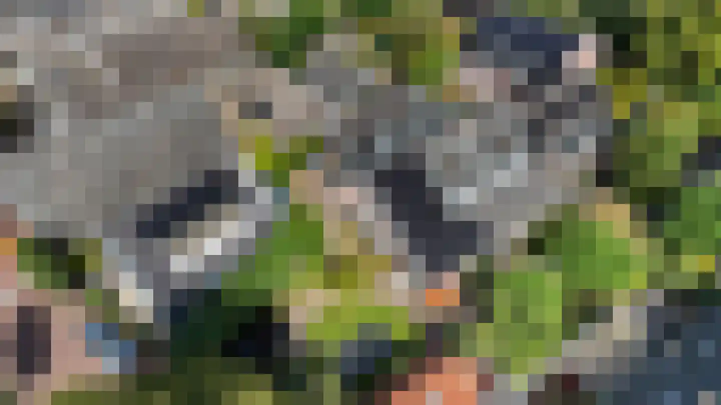 Middenweg 25 Huizen thumbnail 55