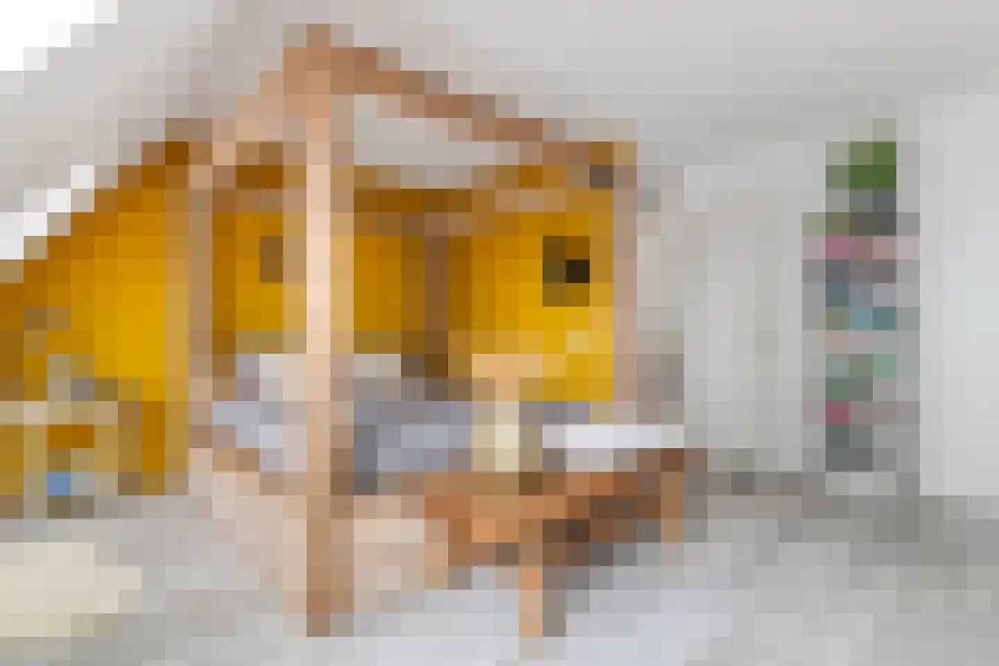 Middenweg 25 Lienden thumbnail 28