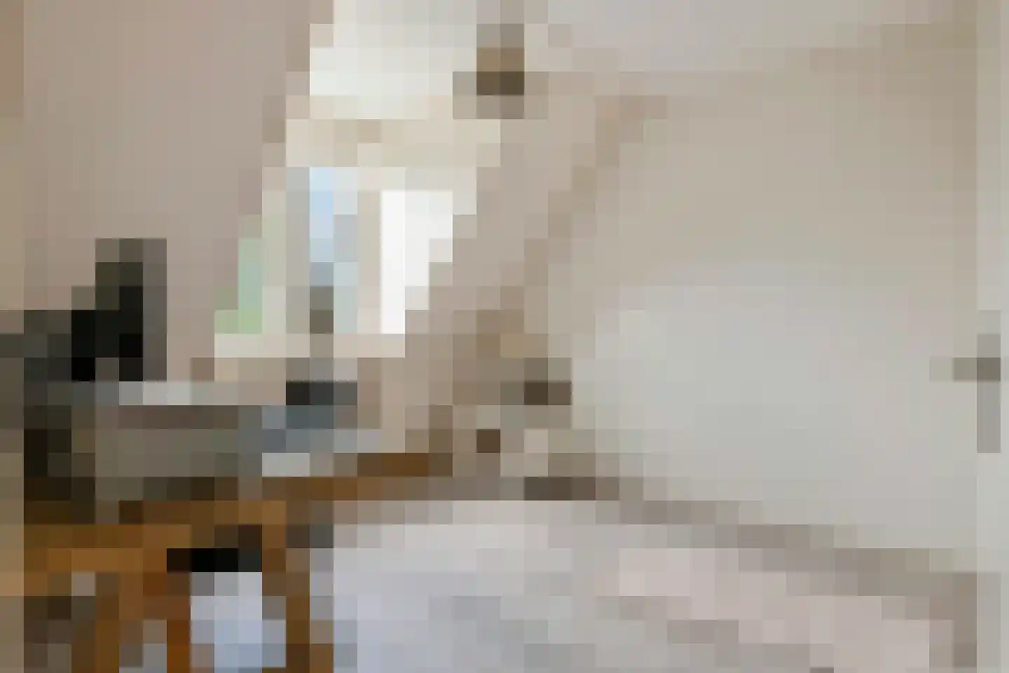 Middenweg 25 Lienden thumbnail 32