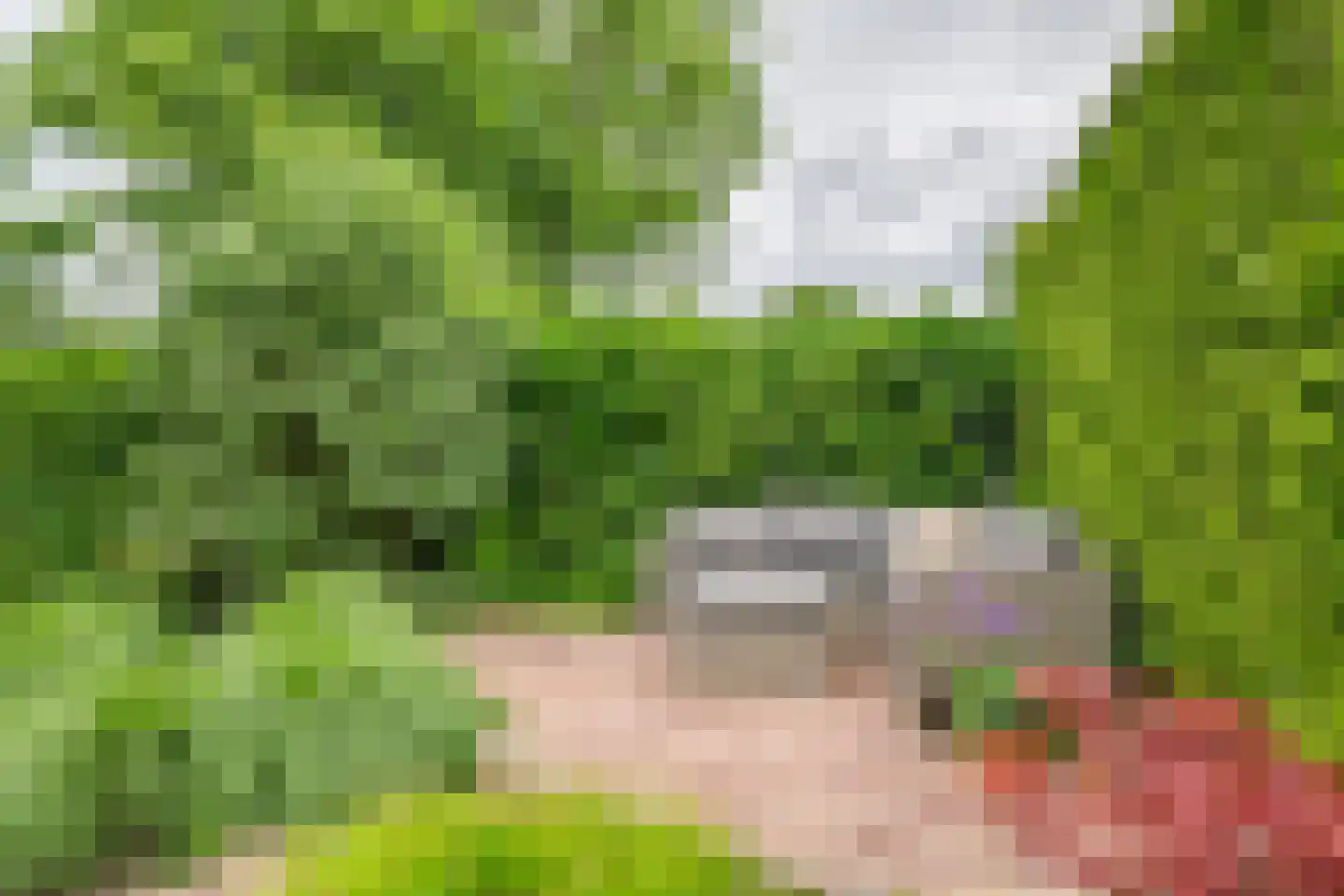 Middenweg 25 Lienden thumbnail 40