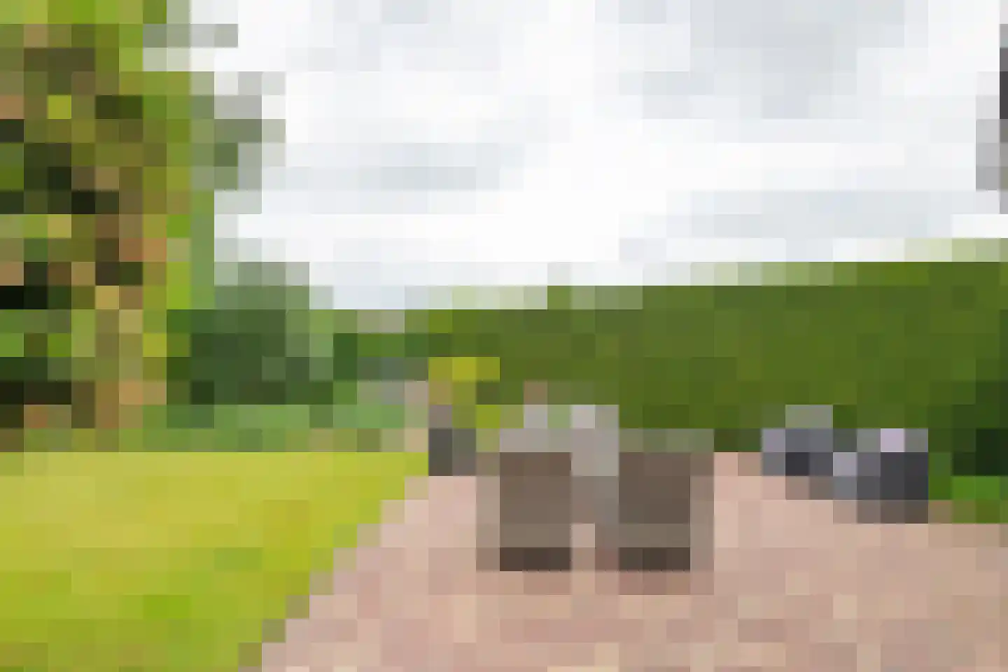 Middenweg 25 Lienden thumbnail 41