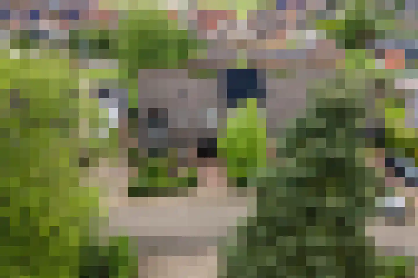Middenweg 25 Lienden thumbnail 44