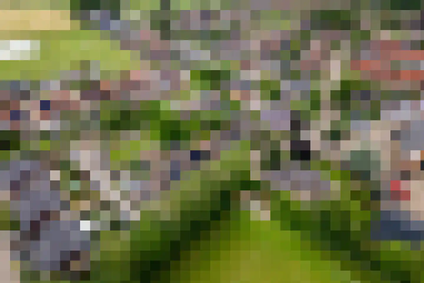 Middenweg 25 Lienden thumbnail 46