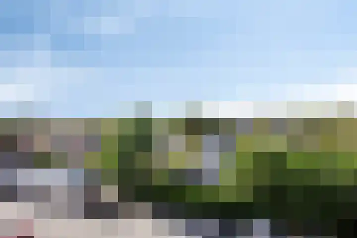 Middenweg 259 J Heerhugowaard thumbnail 24