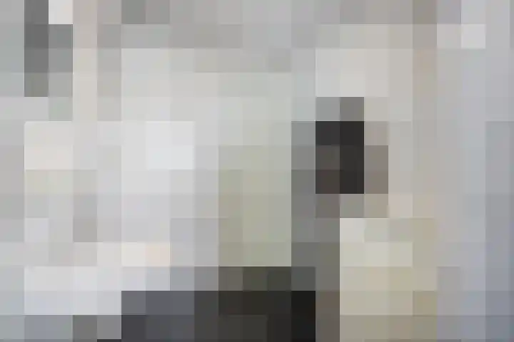 Middenweg 259 J Heerhugowaard thumbnail 28