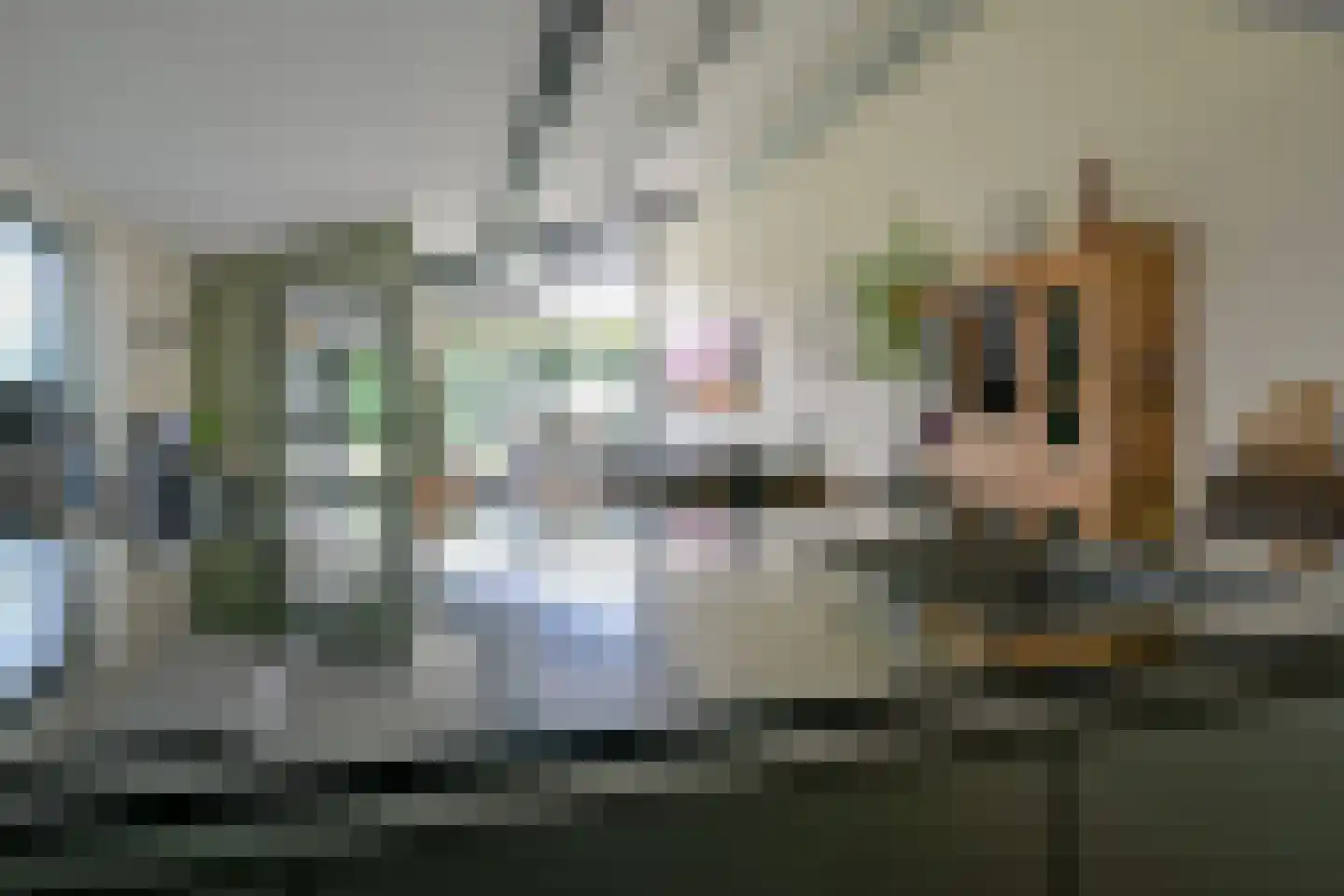 Middenweg 262 Heerhugowaard thumbnail 36