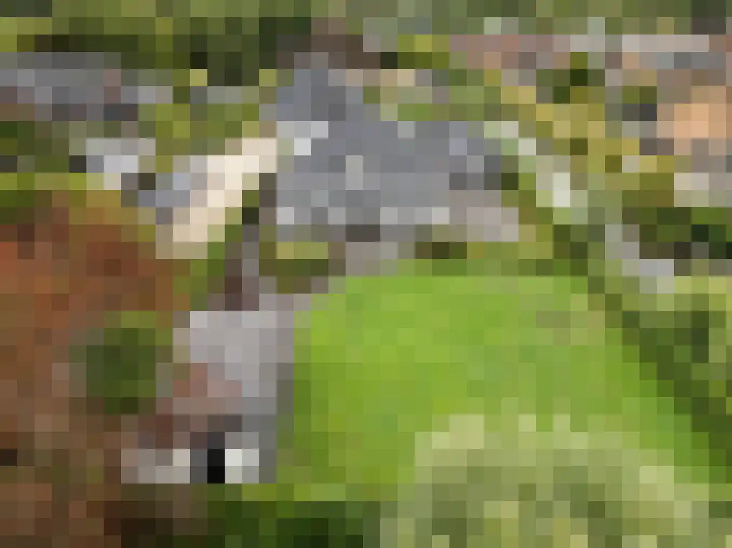 Middenweg 30 D Heerhugowaard thumbnail 44