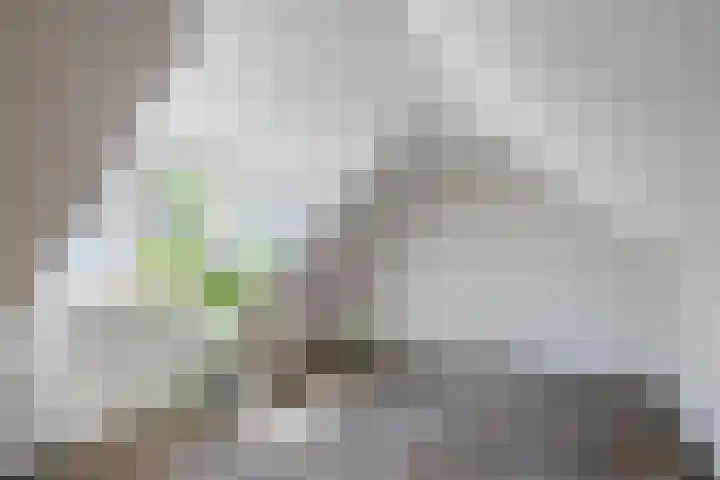Middenweg 31 Muntendam thumbnail 19