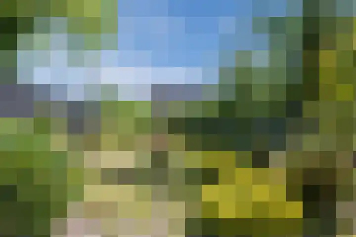 Middenweg 31 Muntendam thumbnail 21