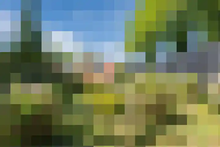 Middenweg 31 Muntendam thumbnail 22