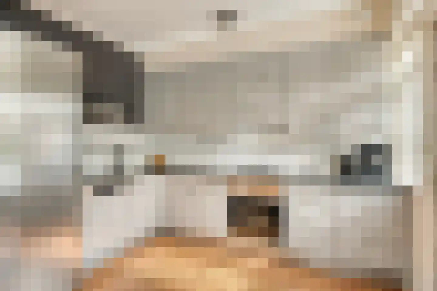Middenweg 332 Heerhugowaard thumbnail 13