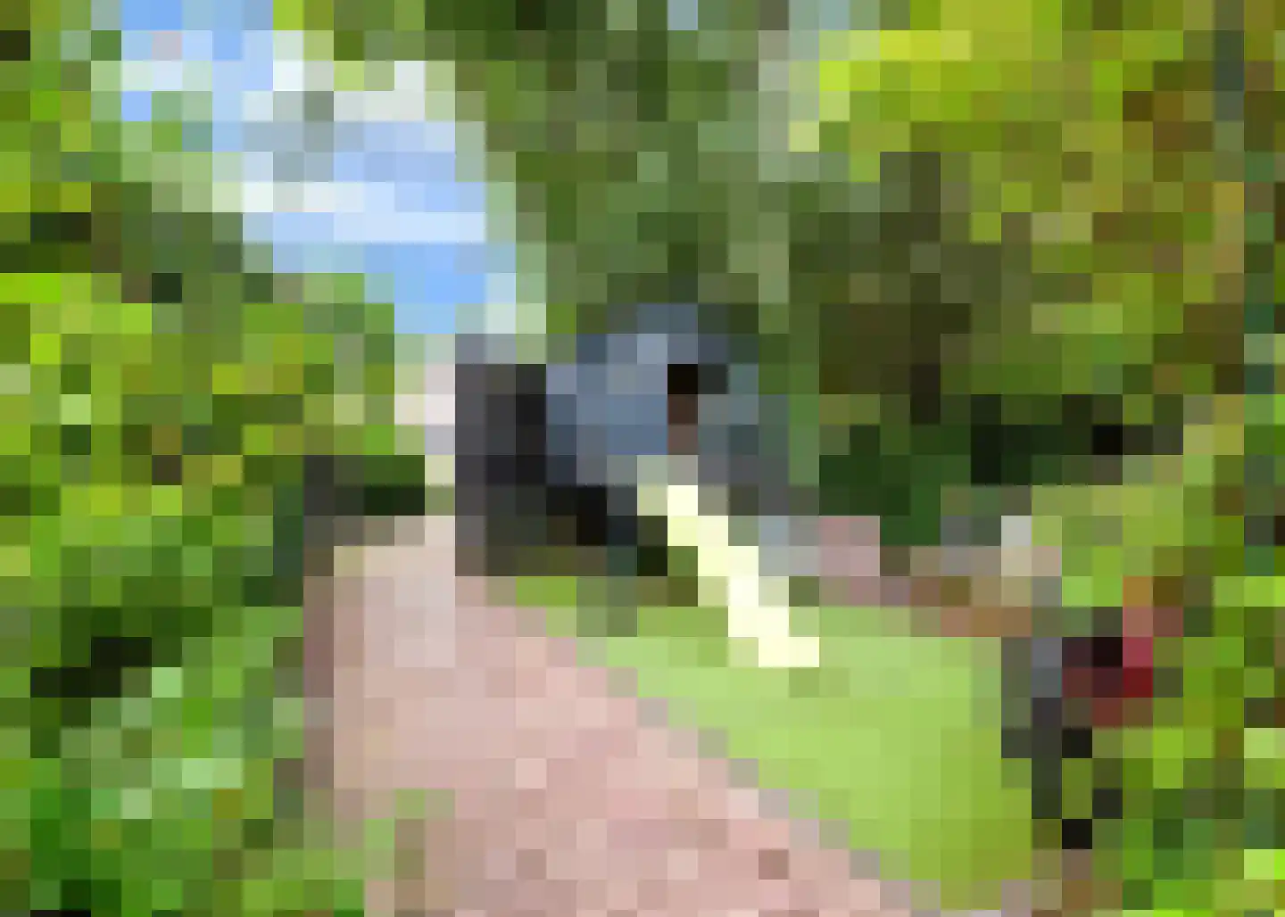 Middenweg 34 A Heerhugowaard thumbnail 33