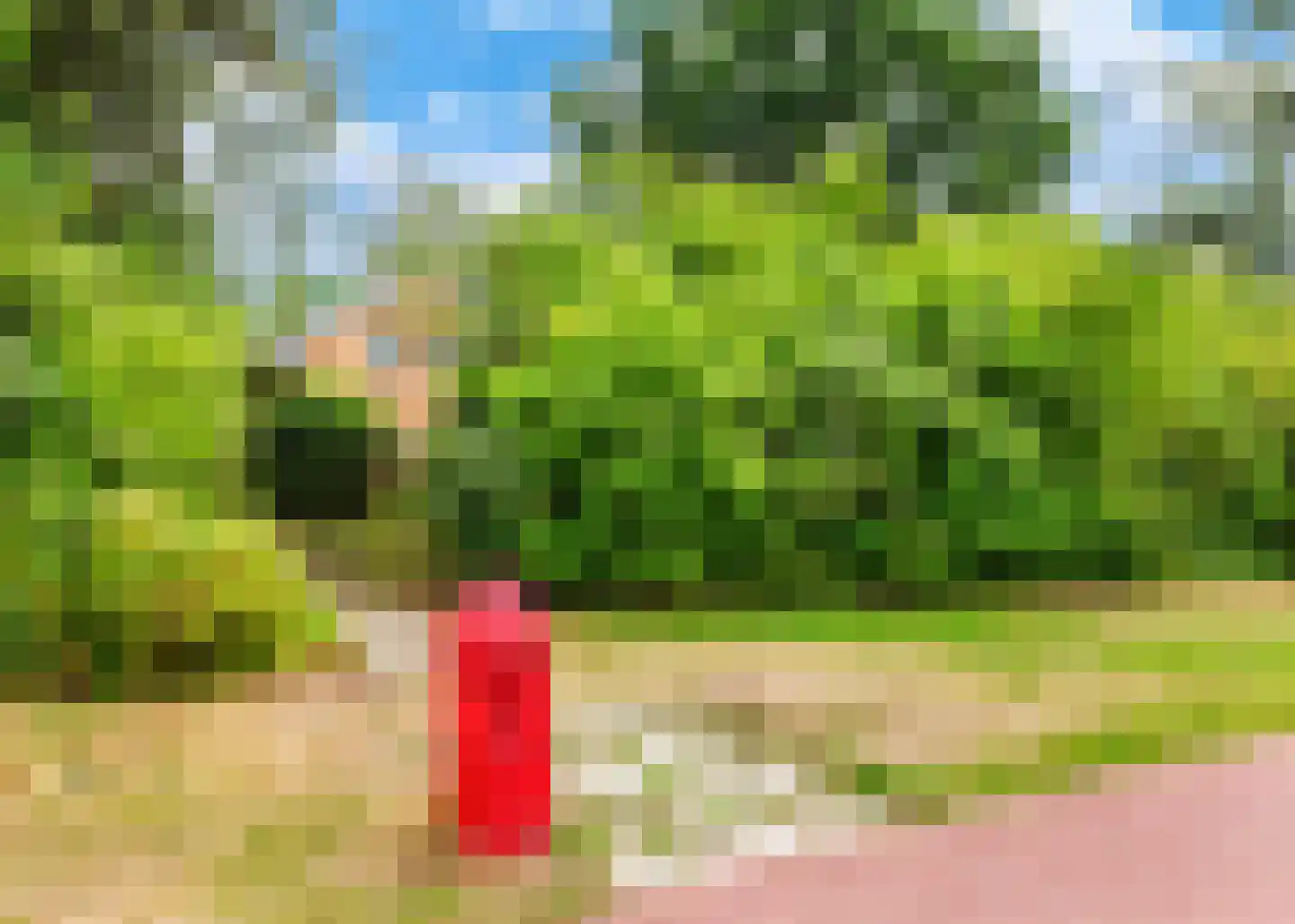 Middenweg 34 A Heerhugowaard thumbnail 51